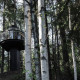 Polestar brings to life KOJA micro tree house project - Image 8
