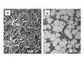 Microstructure and mechanical properties of squeeze cast and semi-solid cast Mg-Al alloys